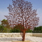 Patung Seni Logam Pohon Humanoid Patung Baja Corten Berkarat Luar Ruangan